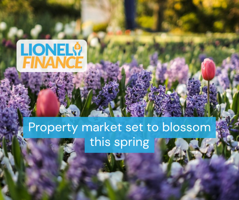 Property market set to blossom this spring